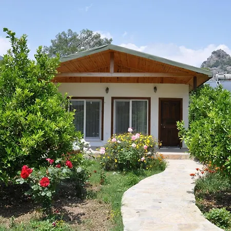 Apart Otel Dolunay Çıralı