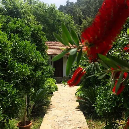 Apart Otel Dolunay